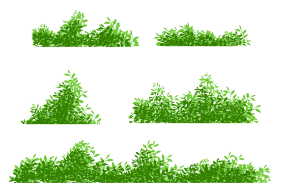 Bush Background. Green Bushes – Practical Uses and Common Pitfalls